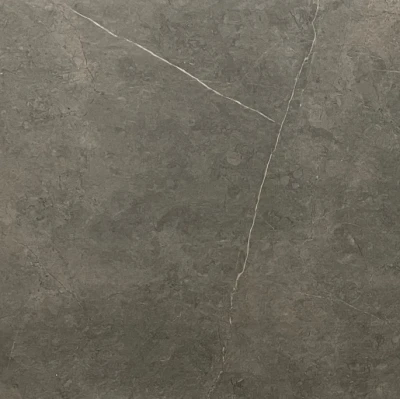 Noord Taupe Mat 120 x 120